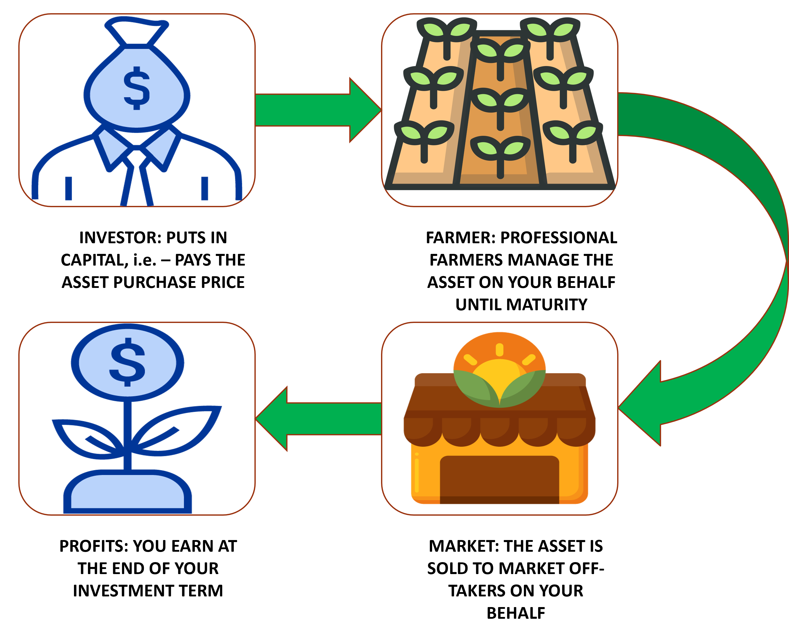 How It Works (Crops)